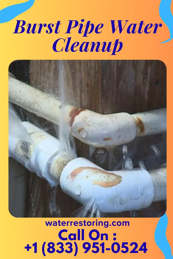 Burst Pipe Water Cleanup in Erie, PA