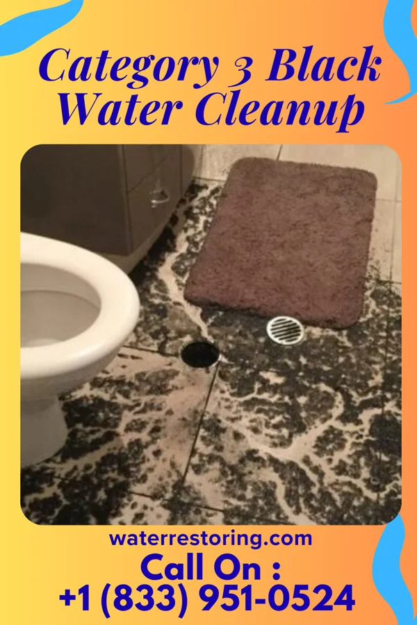 Category 3 Black Water Cleanup in Erie, PA