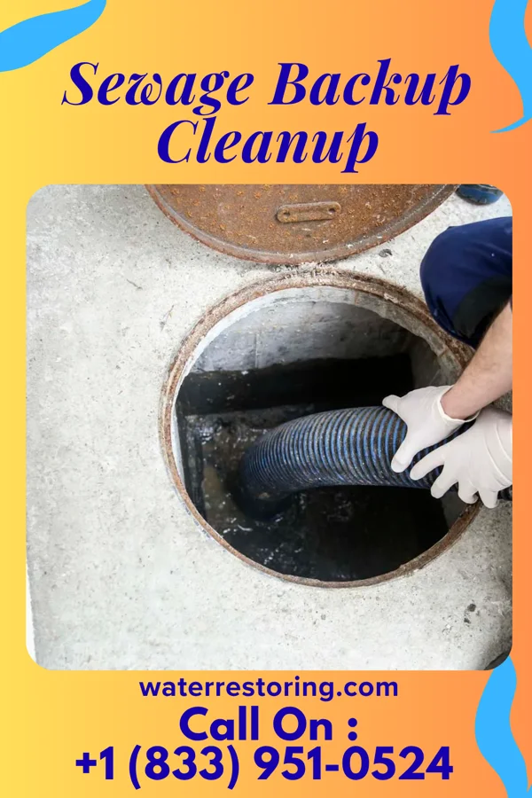 Sewage Backup Cleanup in Erie, PA
